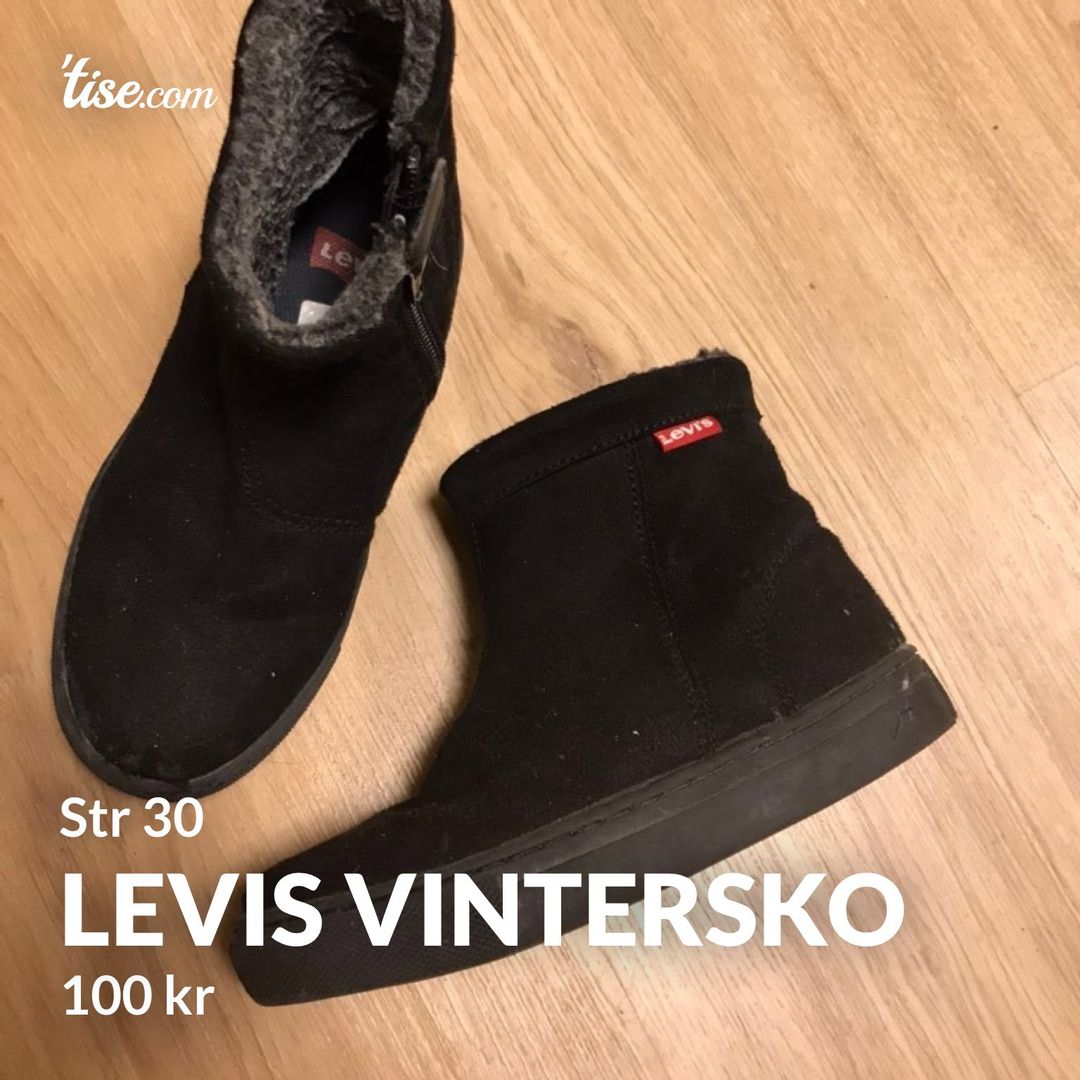 Levis vintersko