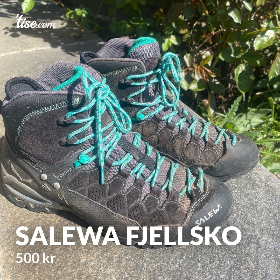 Salewa fjellsko