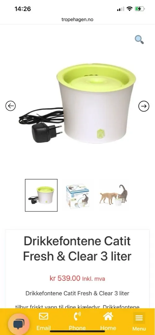 Drikkefontene