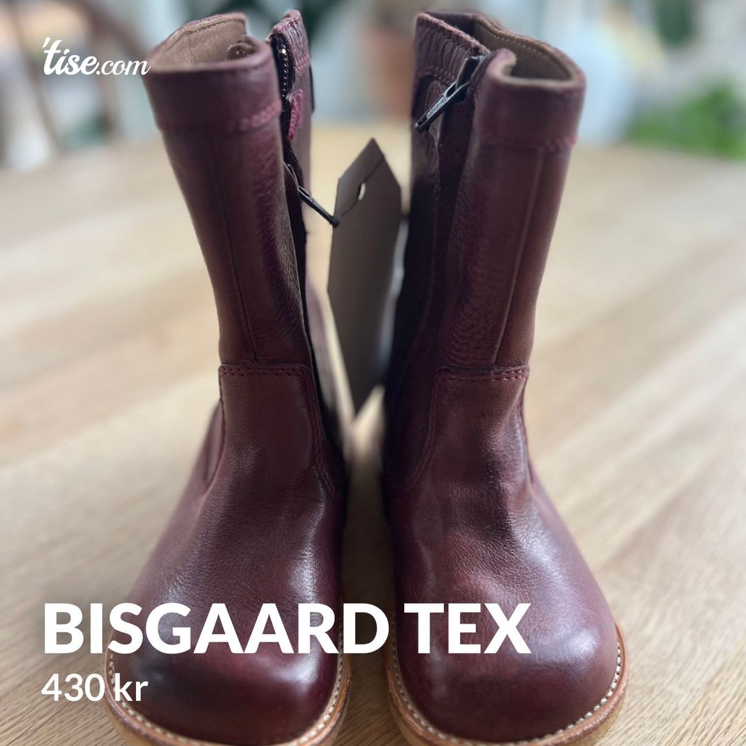 Bisgaard tex