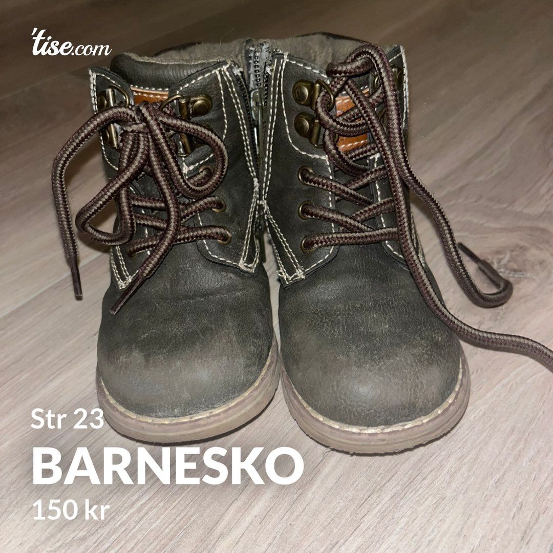 Barnesko