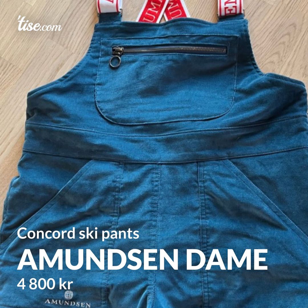 Amundsen Dame