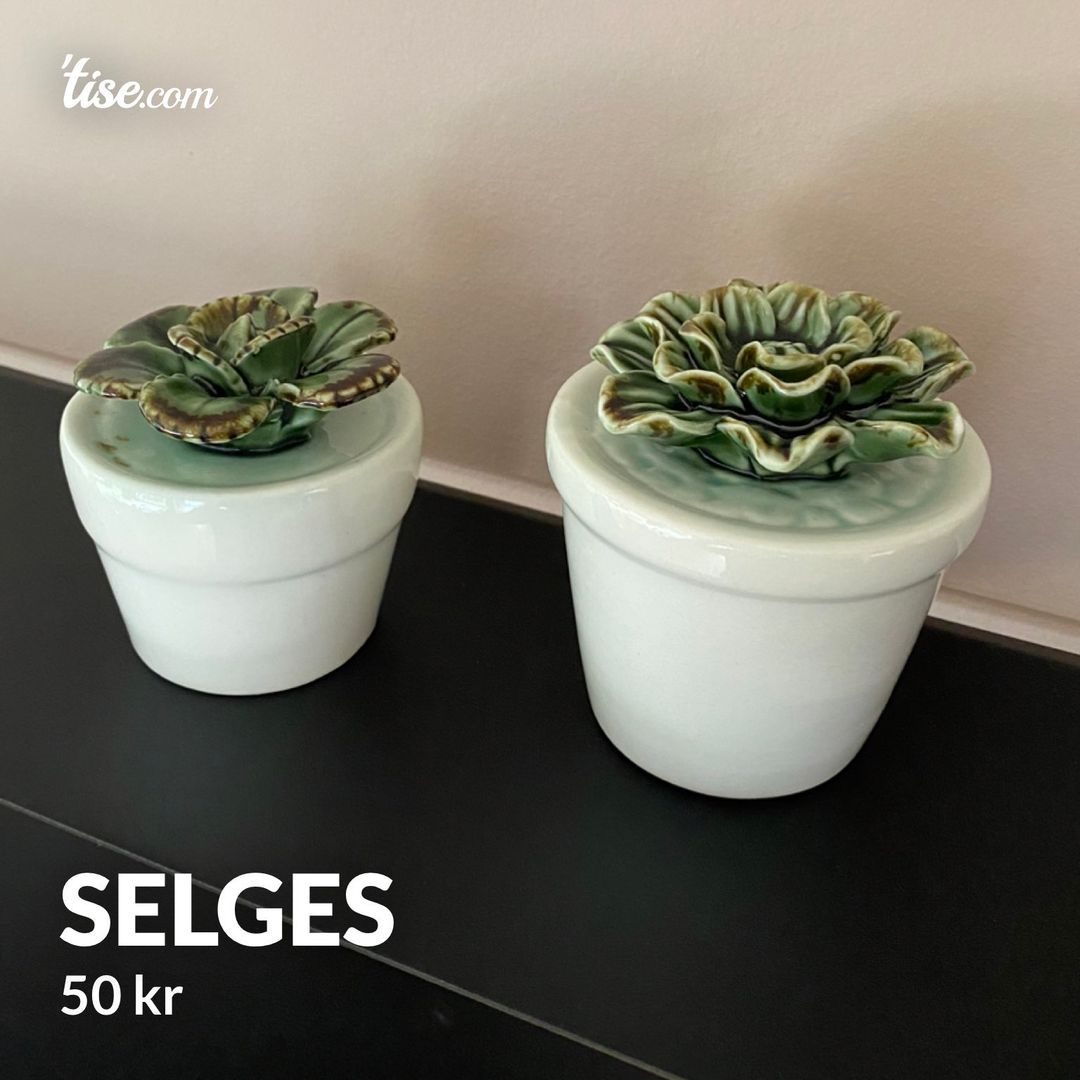 Selges