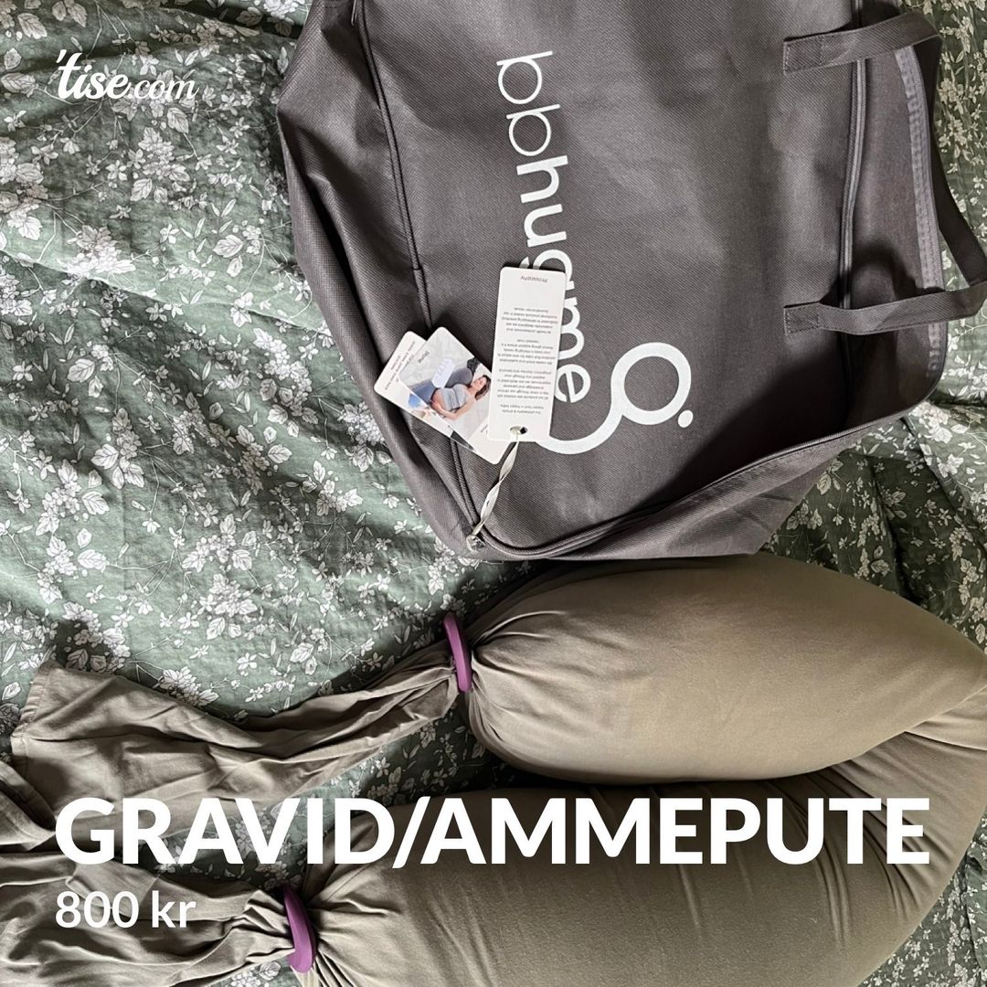 Gravid/ammepute