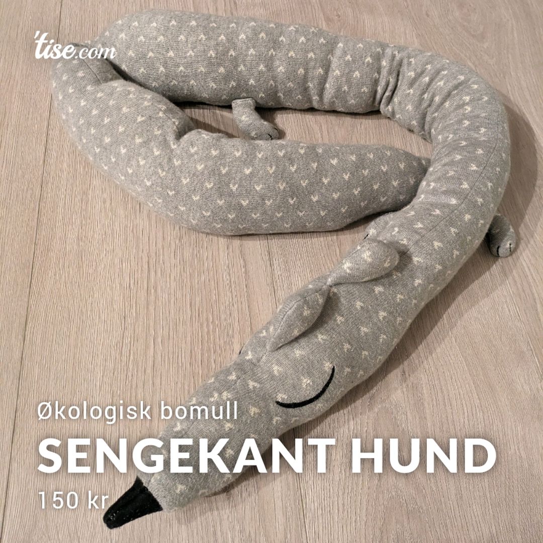 Sengekant Hund