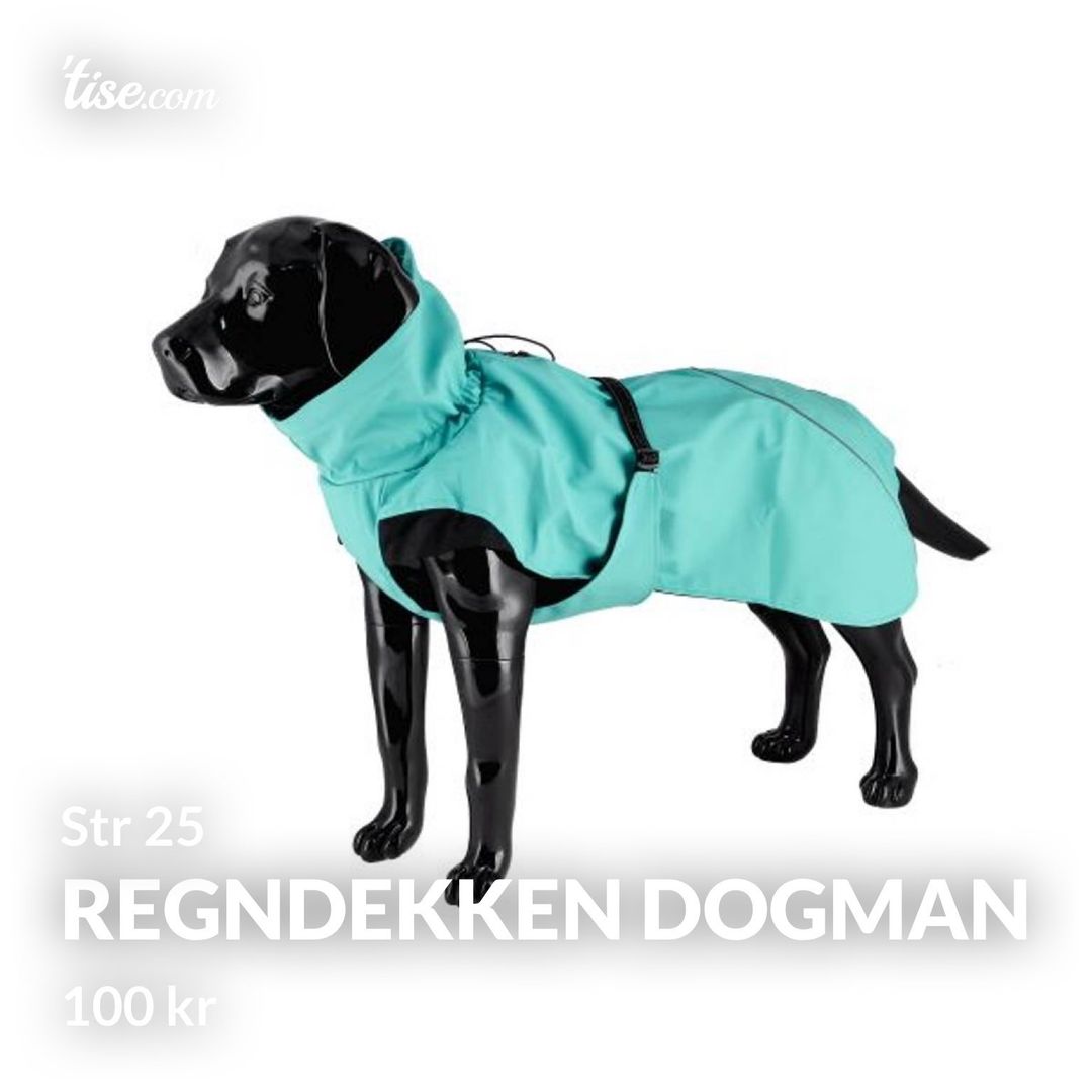 Regndekken dogman