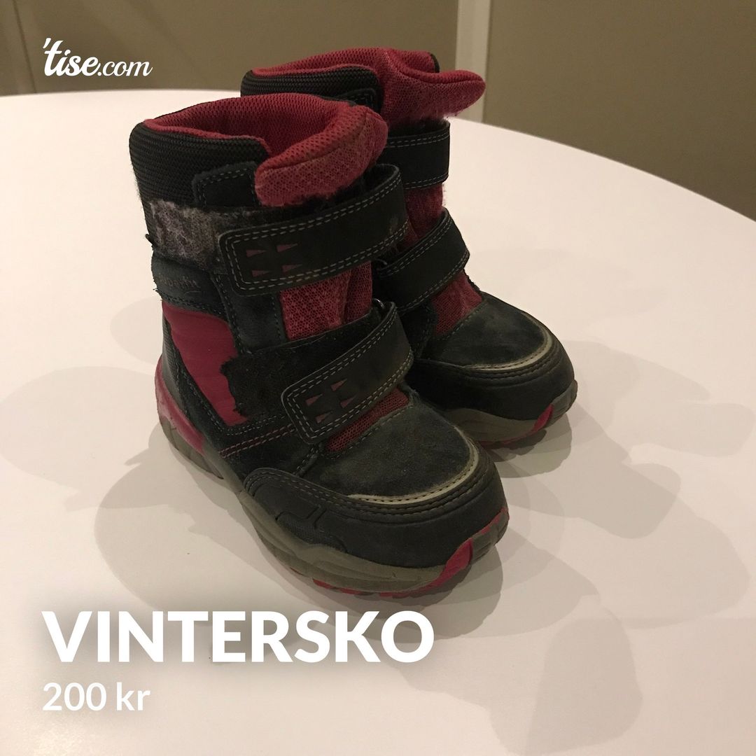 Vintersko