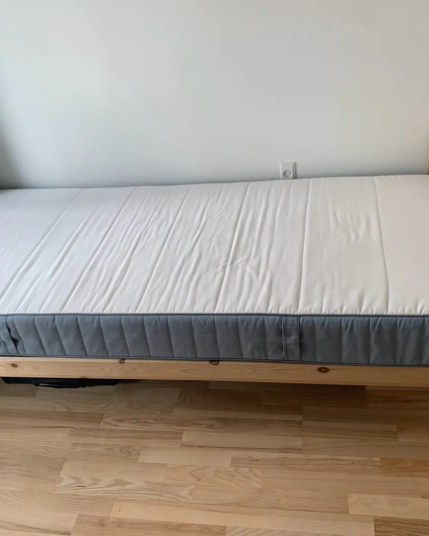 Single bed  mattres