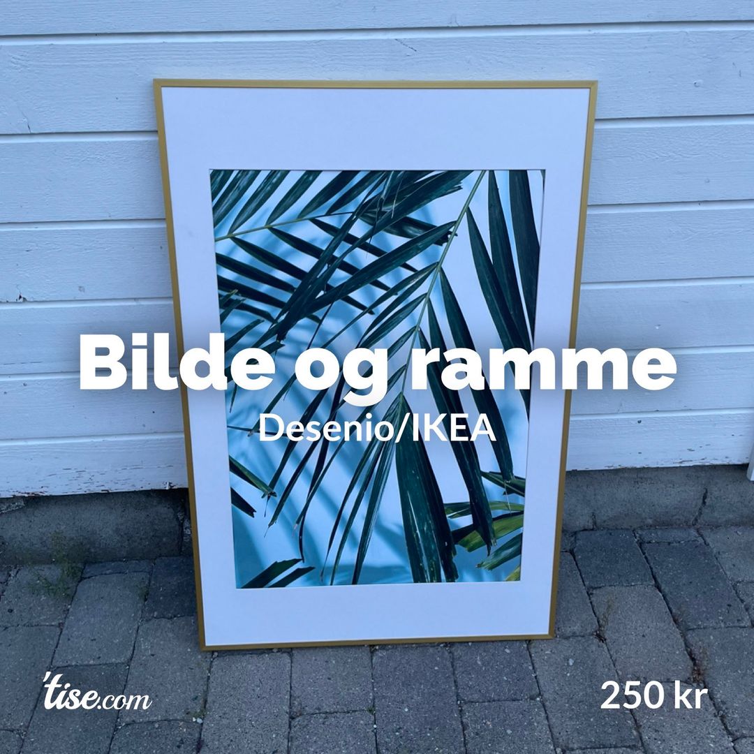 Bilde og ramme