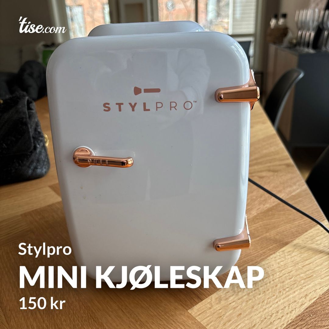 Mini kjøleskap