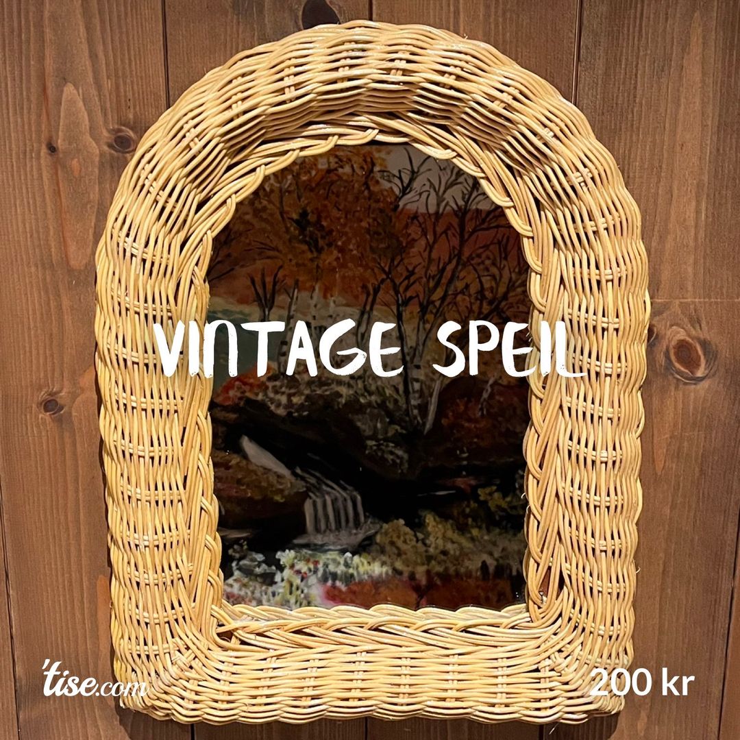 Vintage speil