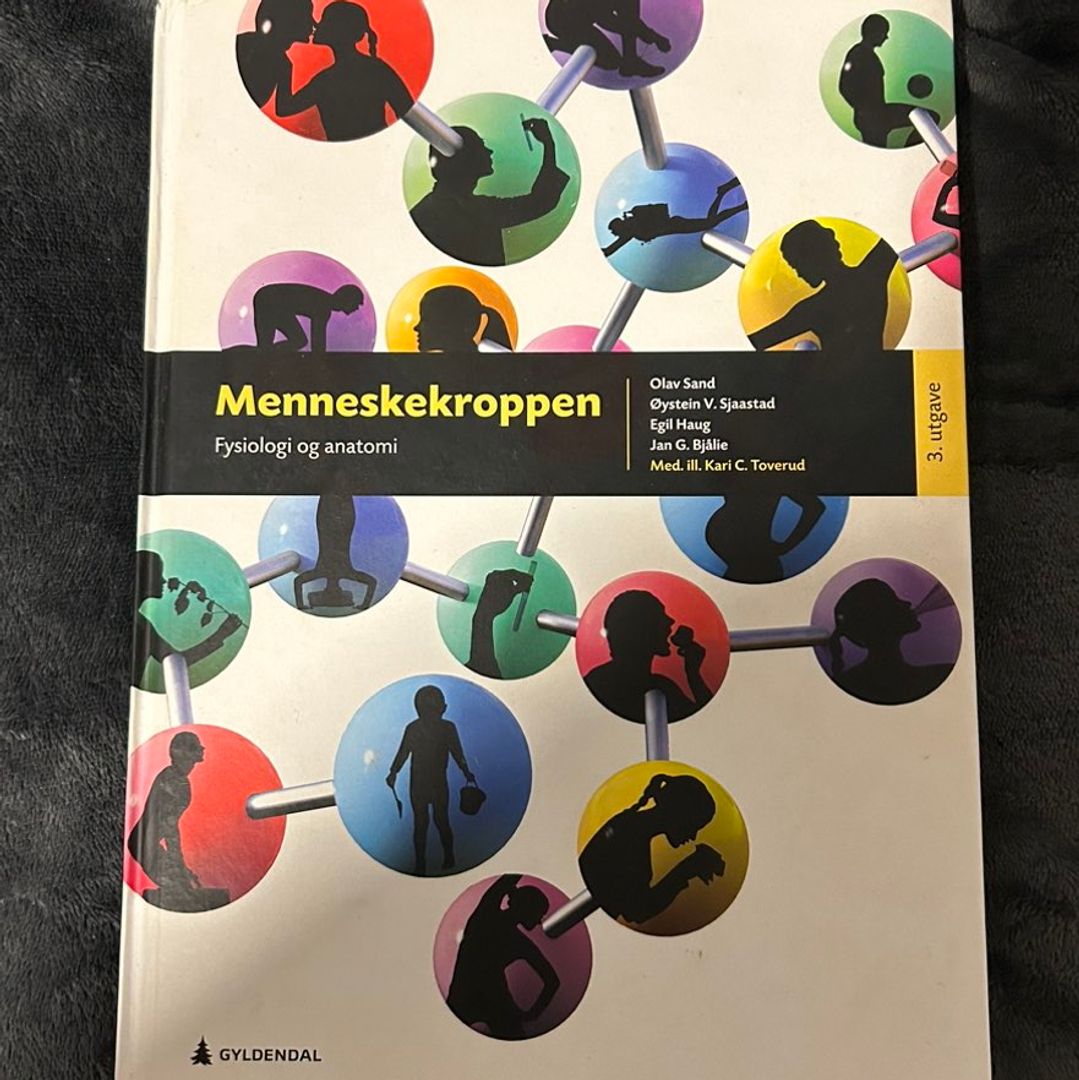 Menneskekroppen