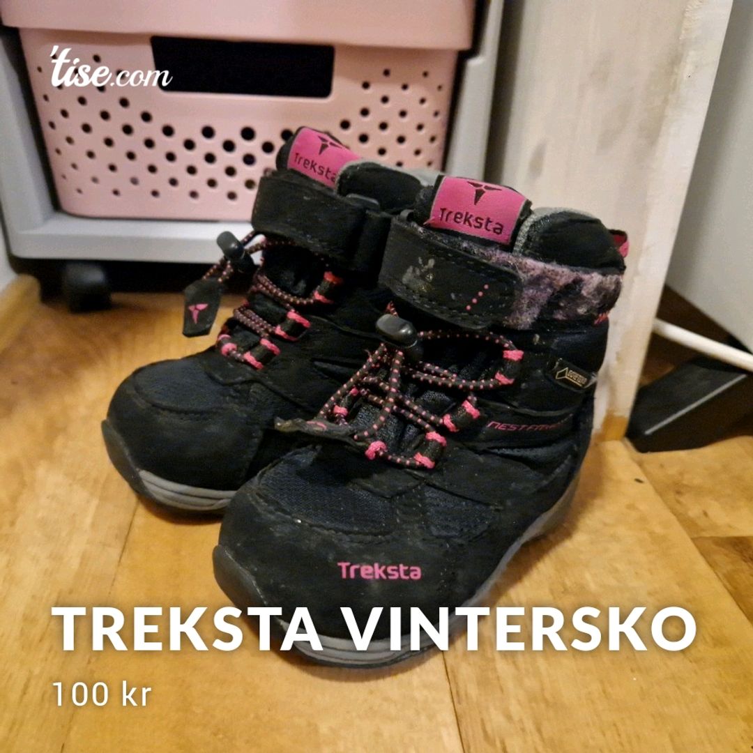 Treksta Vintersko