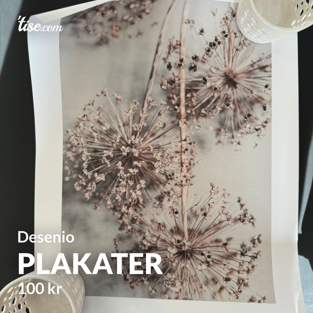 Plakater