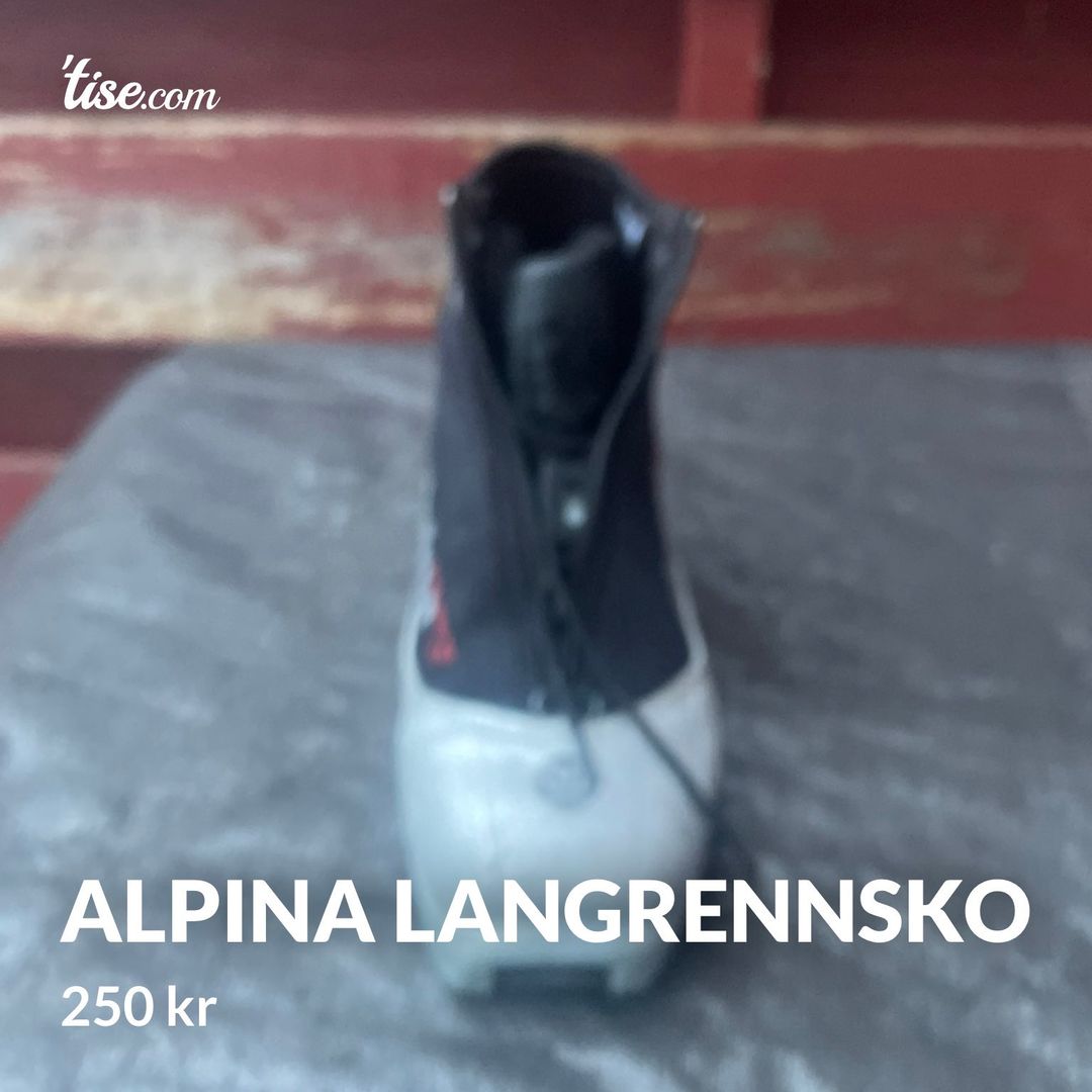 Alpina langrennsko