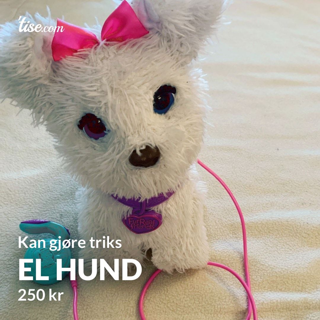 El hund