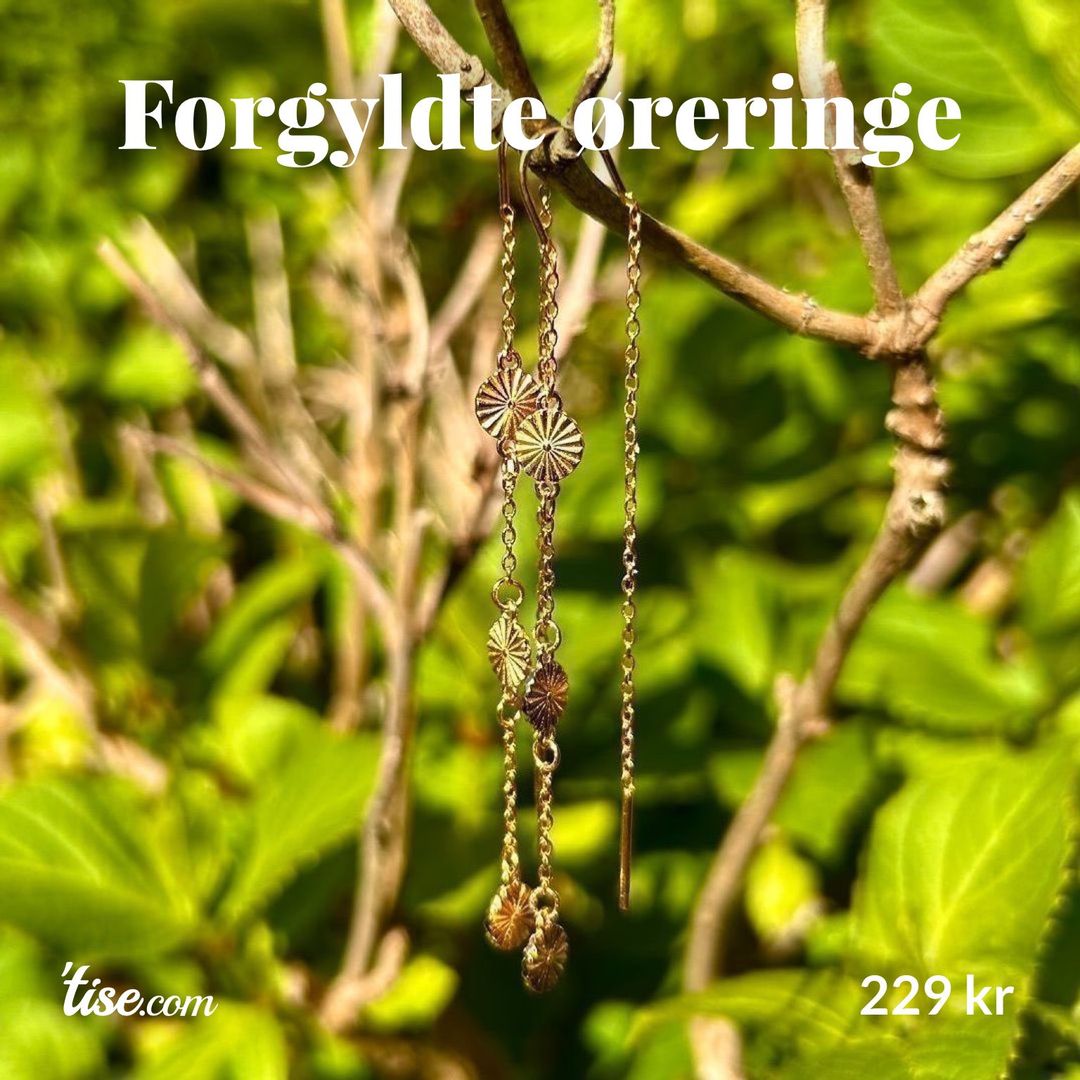 Forgyldte øreringe