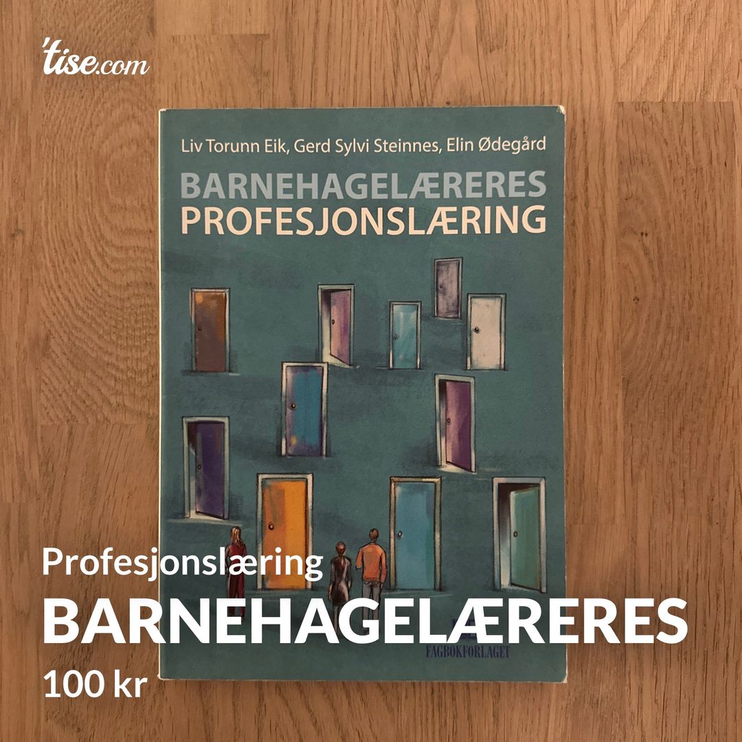 Barnehagelæreres