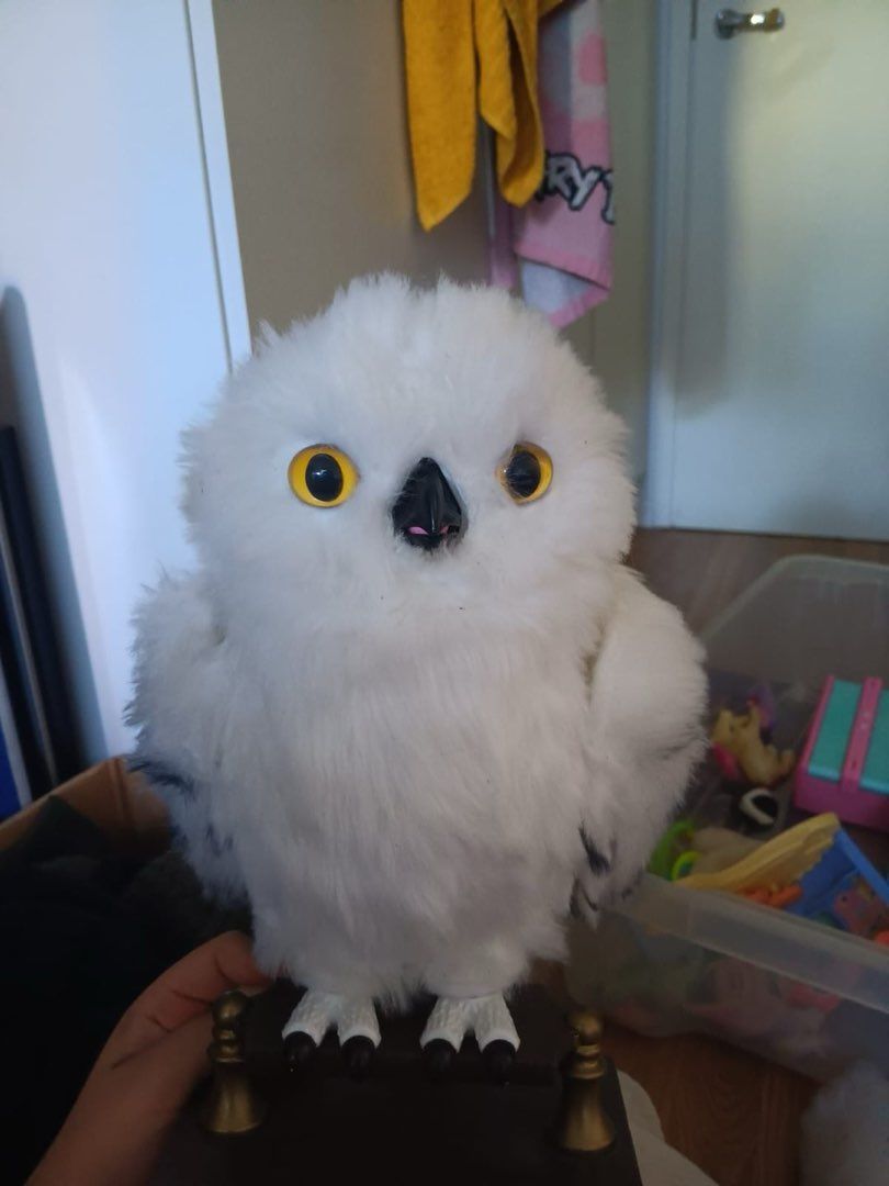 Harry Potter Hedwig