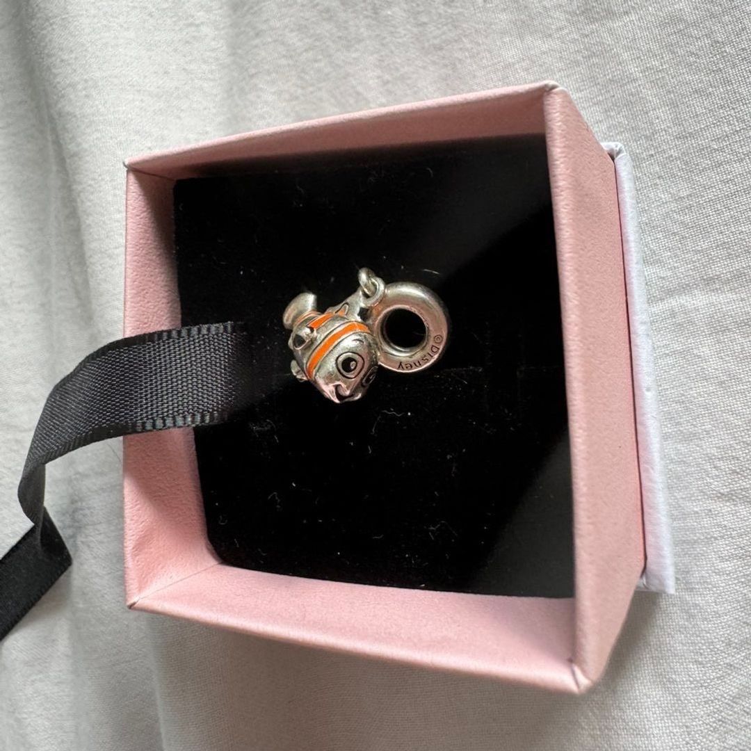 Pandora charm