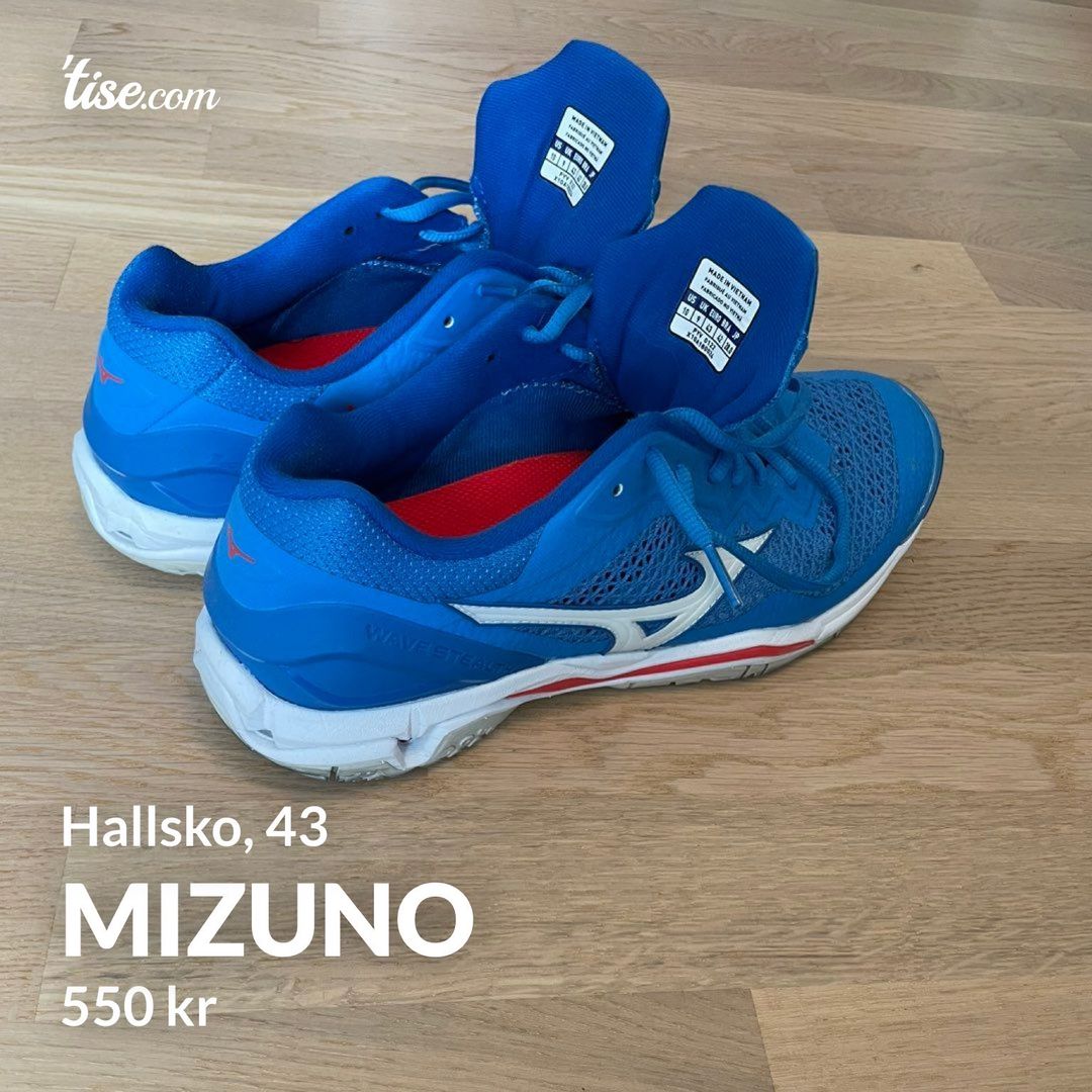 Mizuno