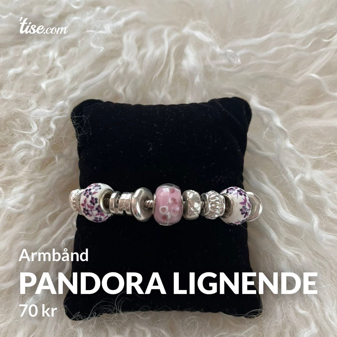 Pandora lignende