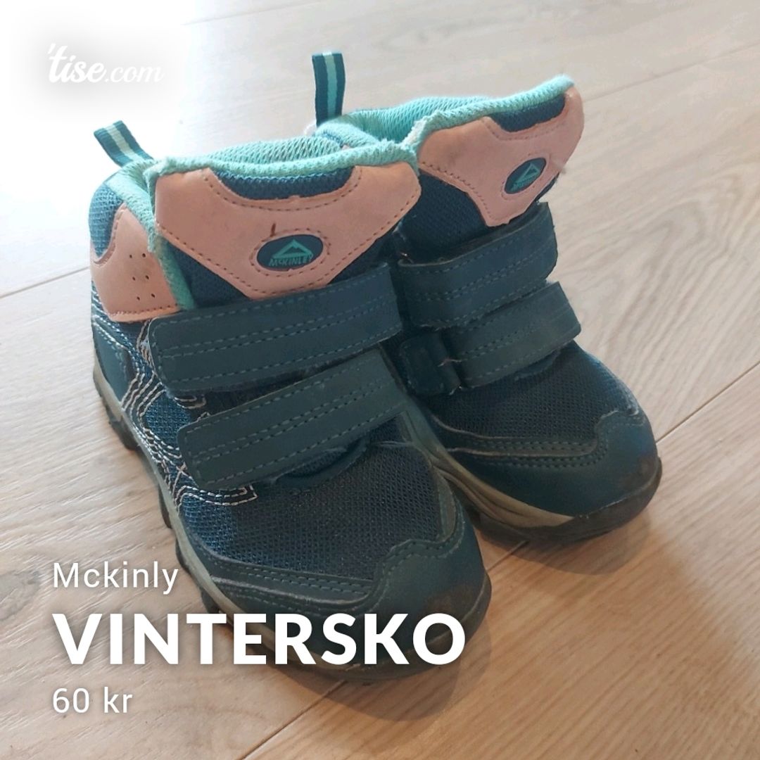 Vintersko