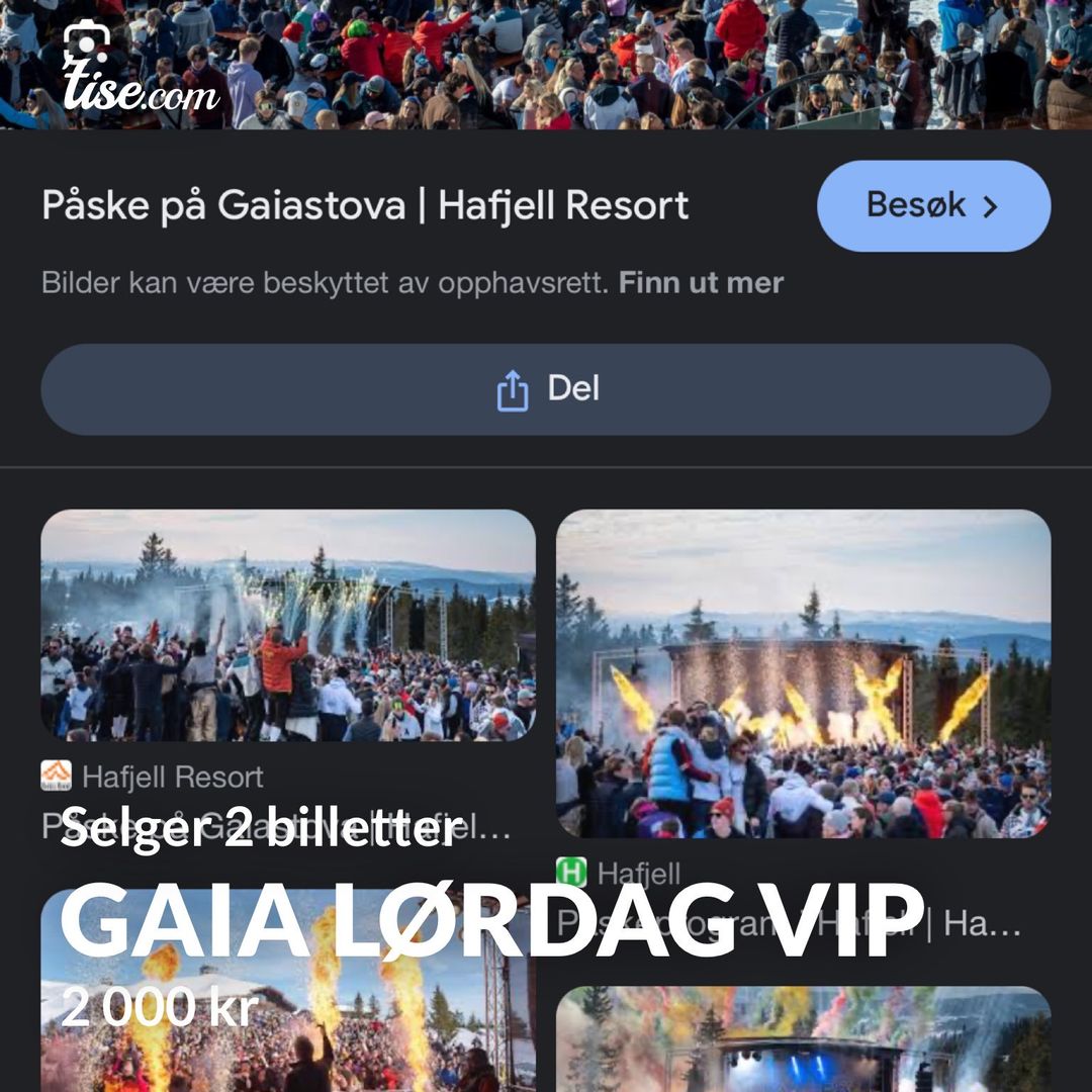 Gaia Lørdag VIP