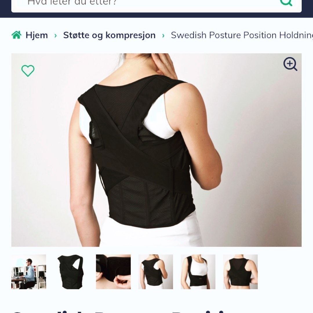 Holdningsvest