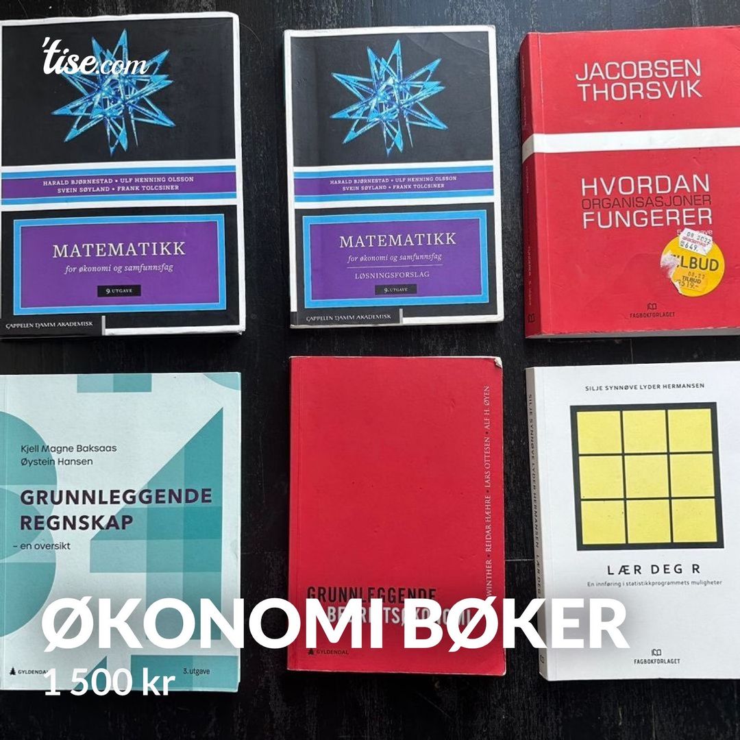 Økonomi bøker