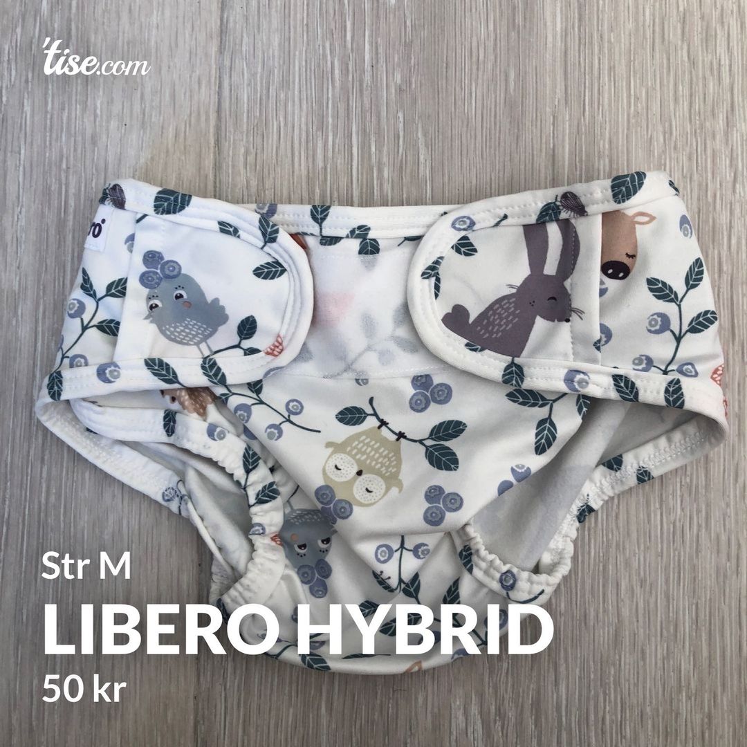 Libero hybrid