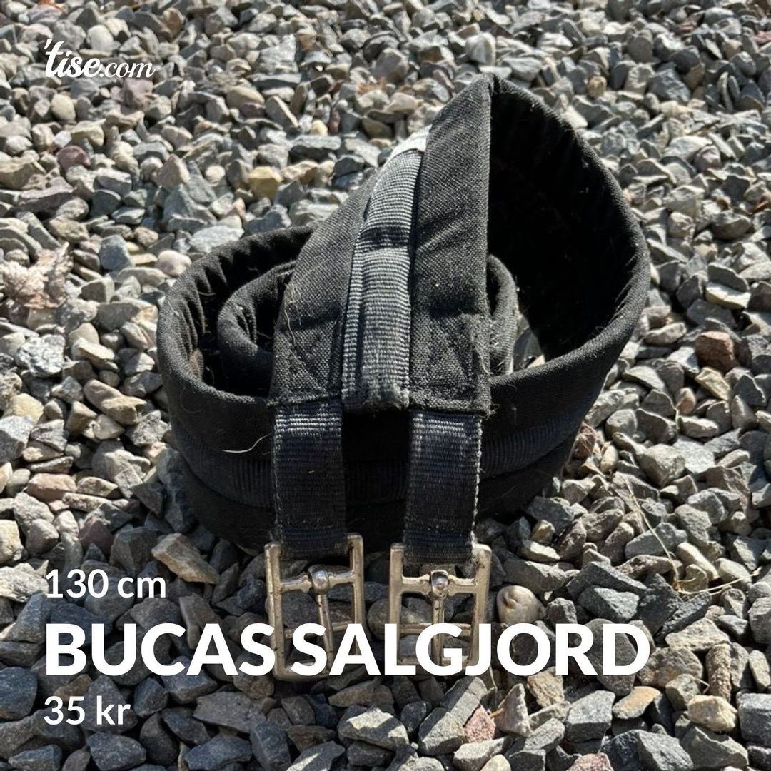 Bucas salgjord