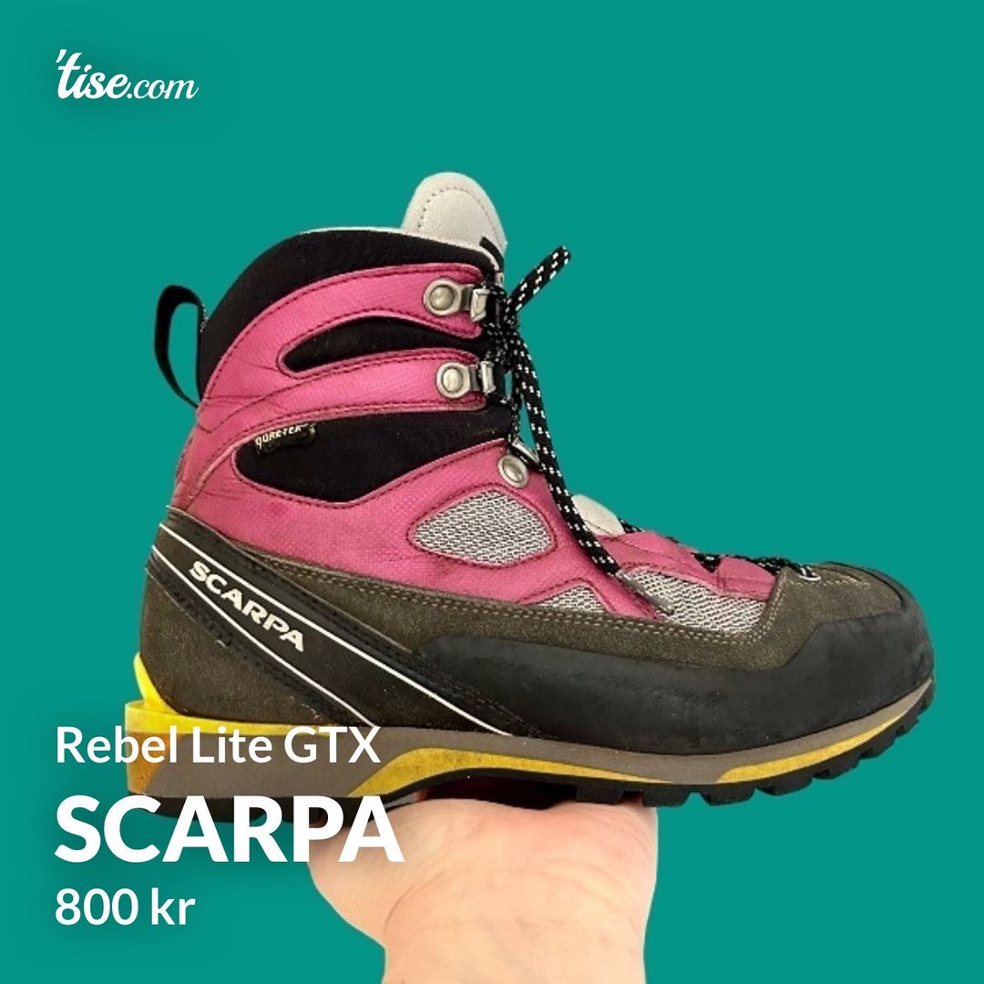 Scarpa