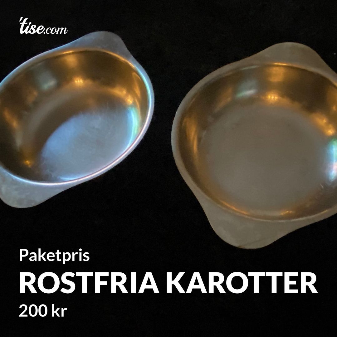 Rostfria karotter