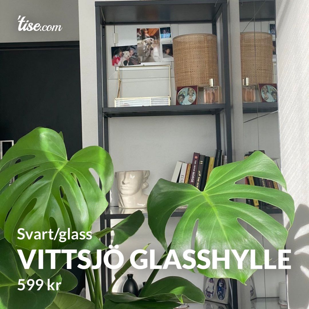 VITTSJÖ glasshylle