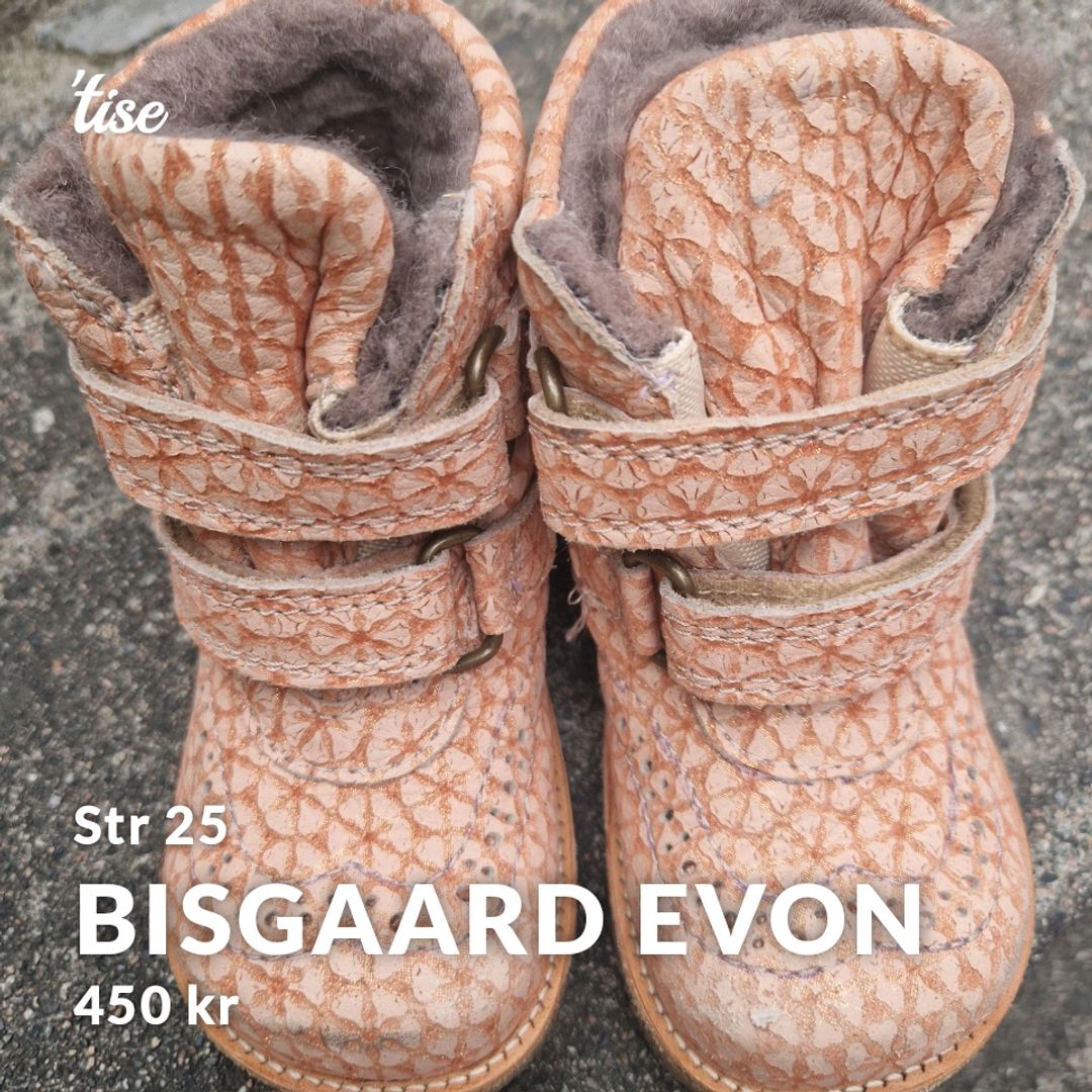 Bisgaard Evon