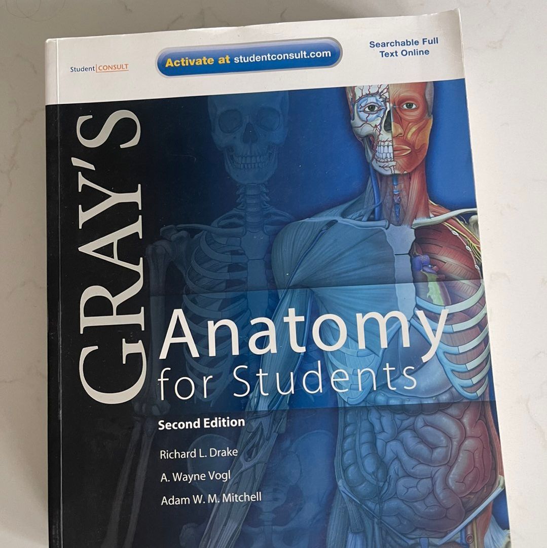 Grays anatomy