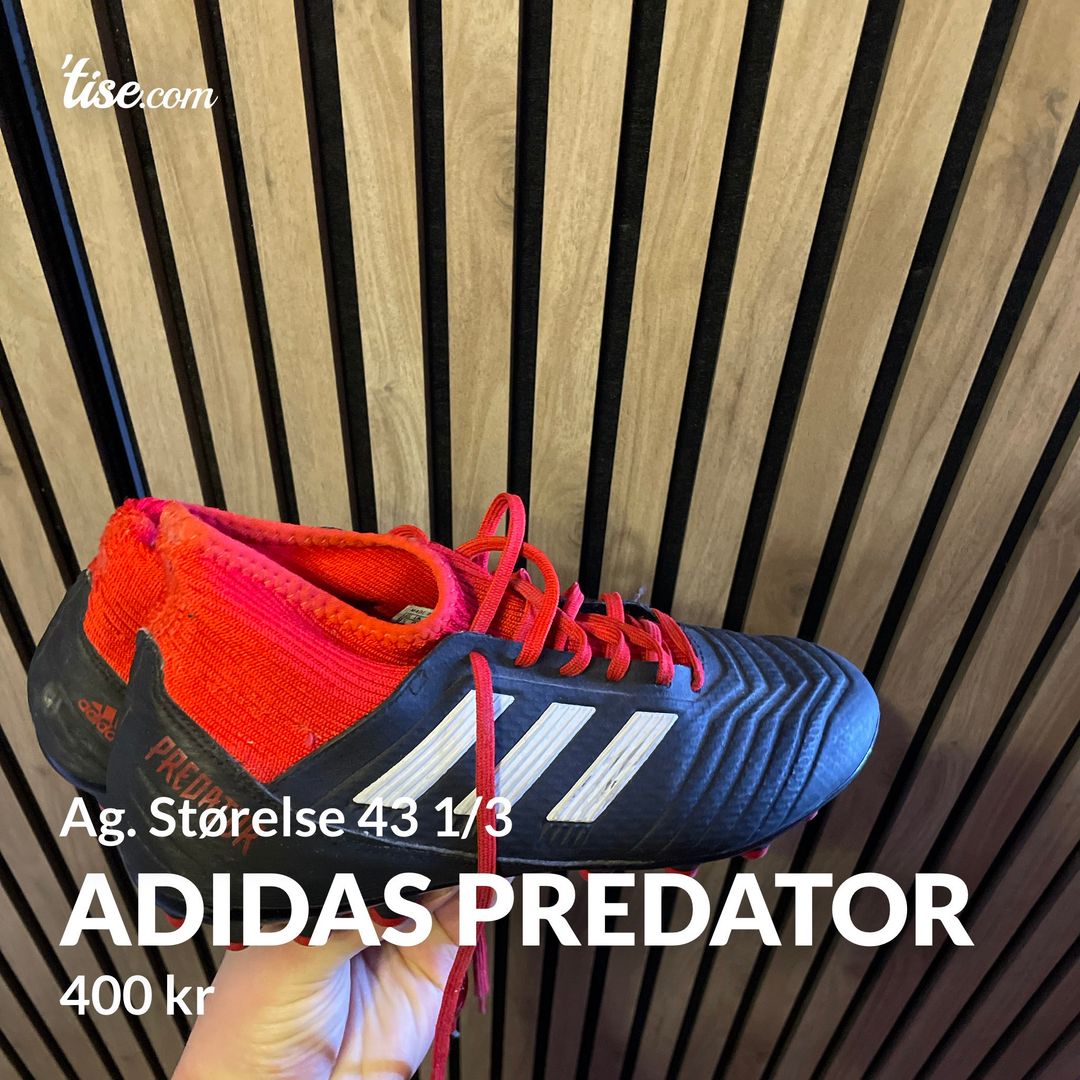 Adidas predator