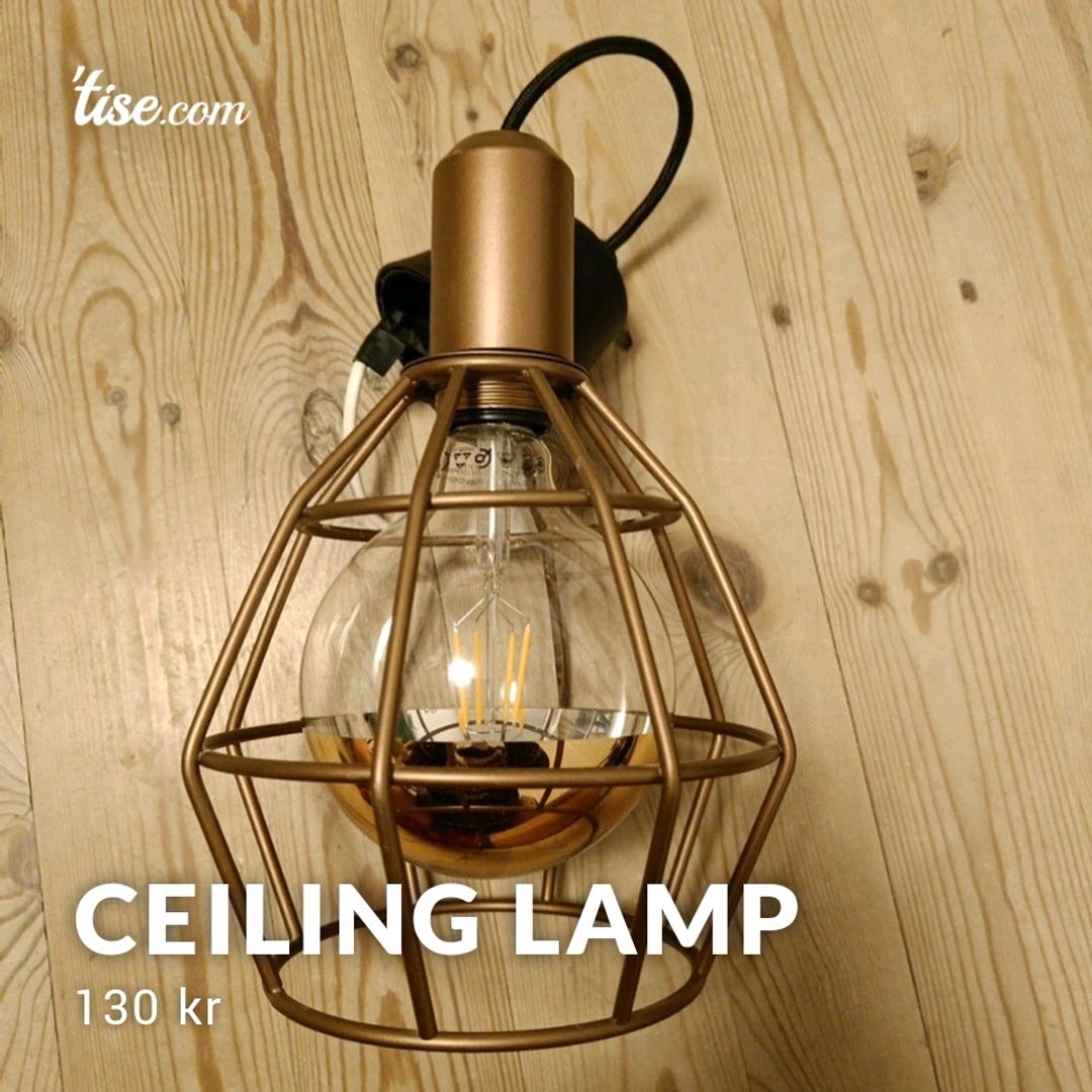 Ceiling lamp