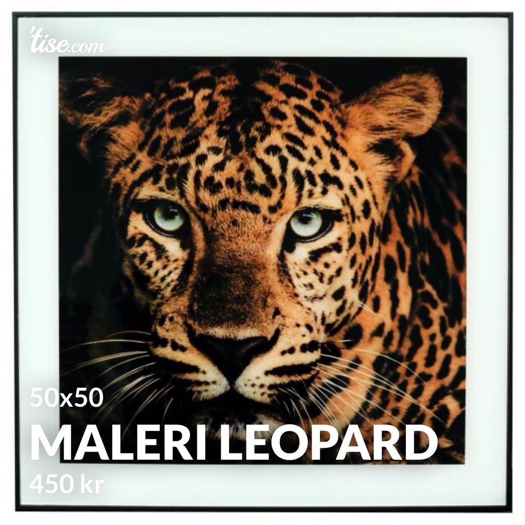 Maleri leopard