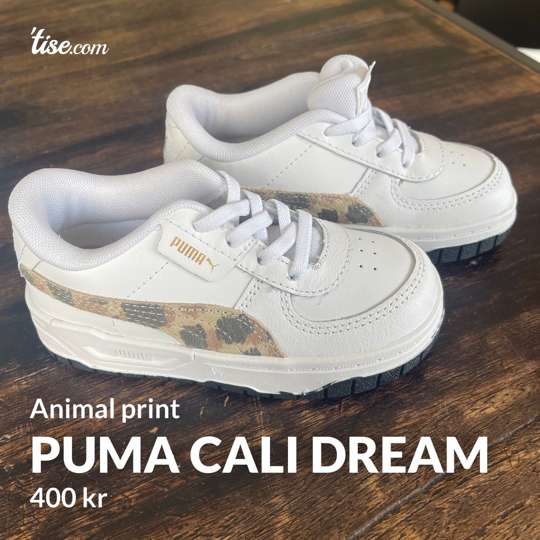 Puma Cali dream