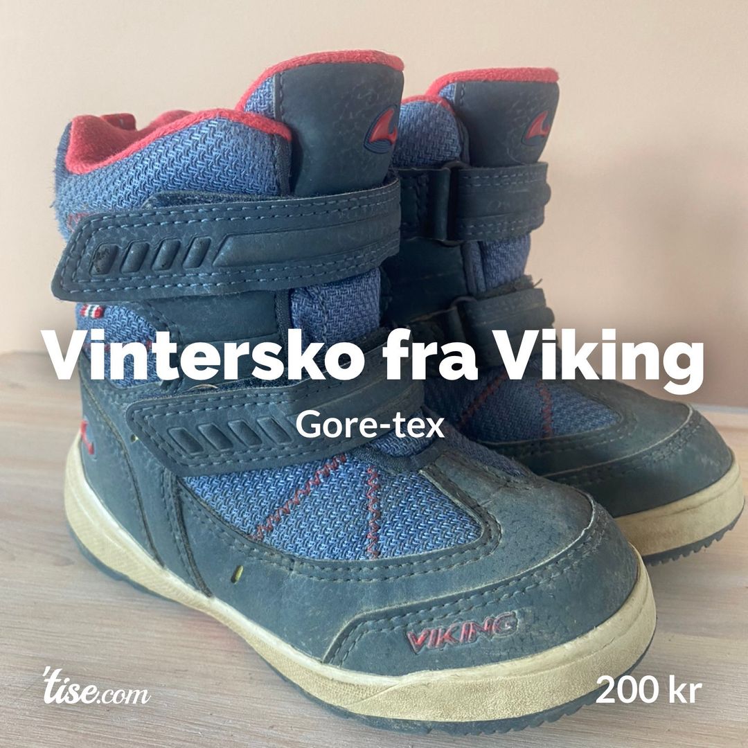 Vintersko fra Viking