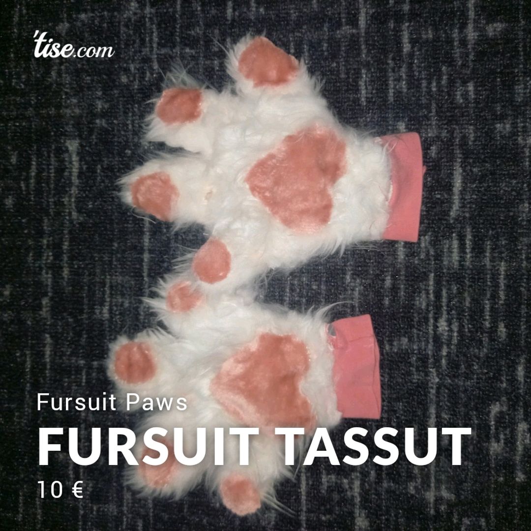 Fursuit Tassut