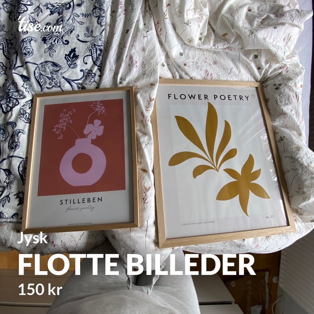 Flotte billeder