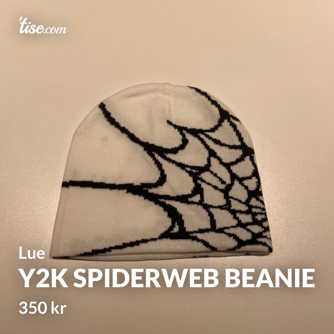 Y2k spiderweb beanie