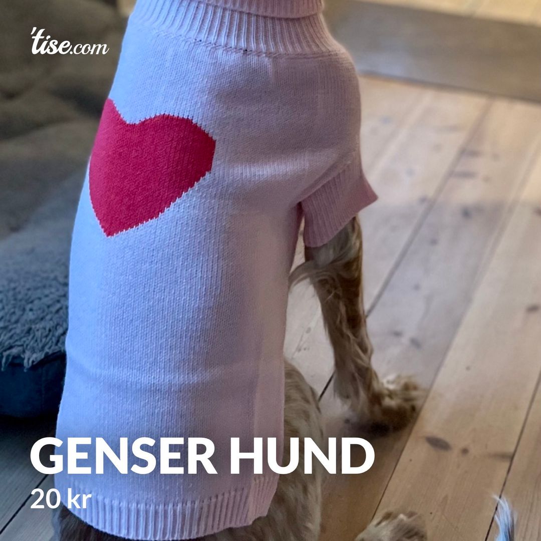 Genser hund