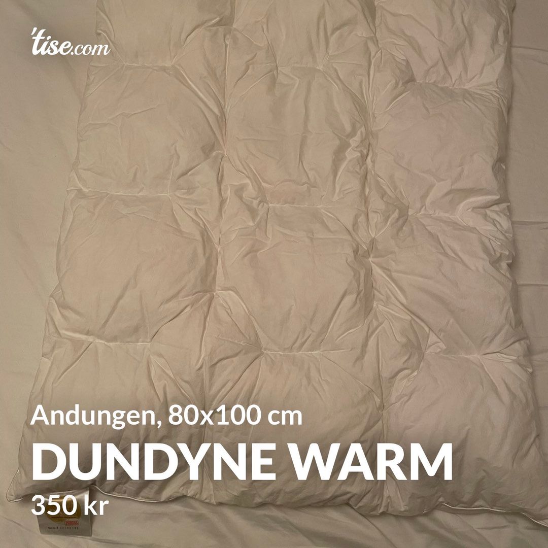 Dundyne WARM