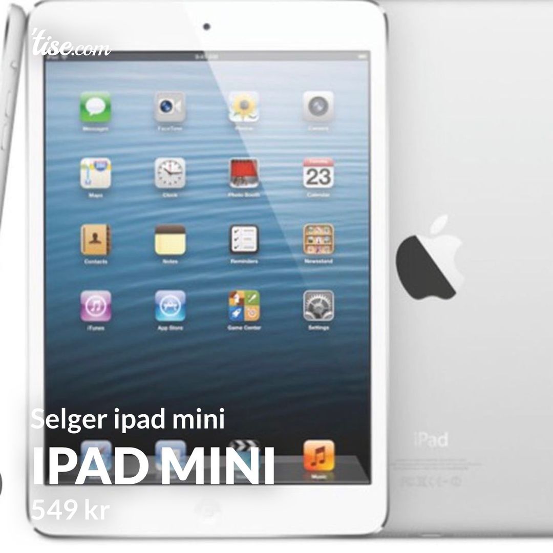 Ipad mini