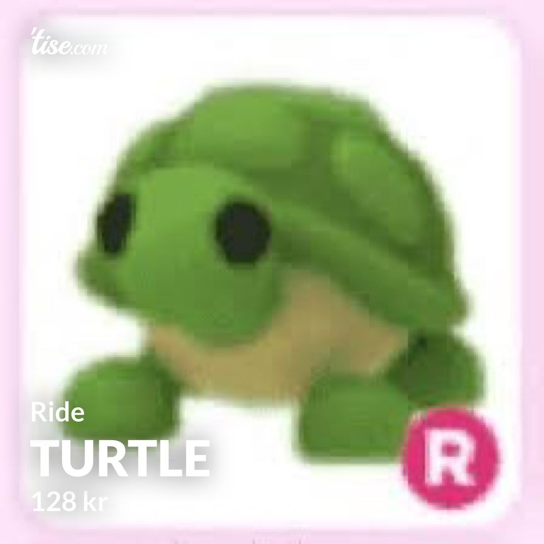 Turtle