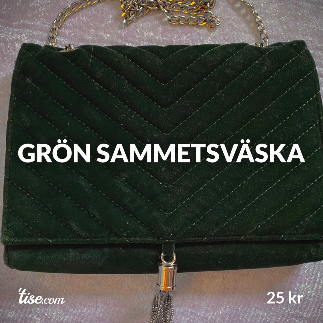 Grön sammetsväska